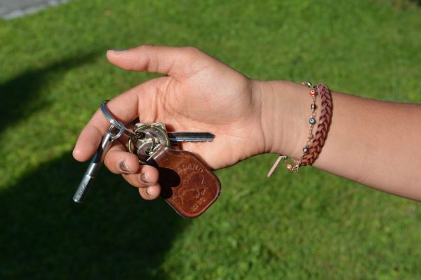 Allgäuer Geschenke - der Zeckstick mit Schlüsselring